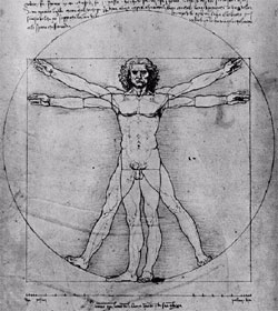 Vitruvian man