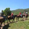 Horseback Expeditions